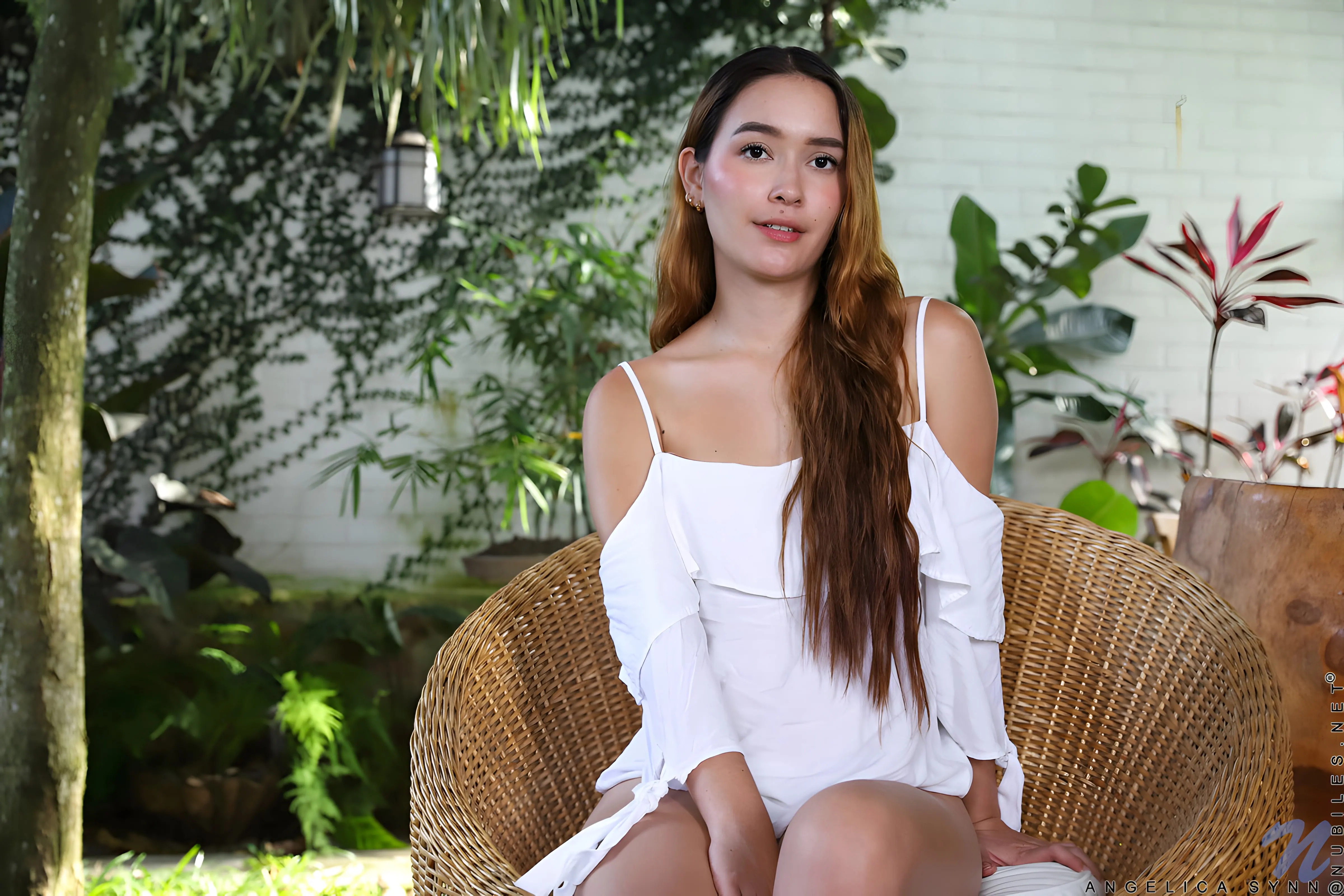 Angelica Synn - Sheer Back | Picture (2)