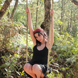 Swing