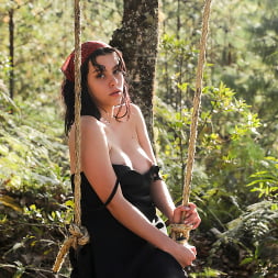 Swing