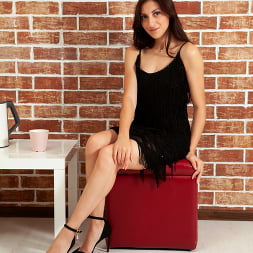 Dressed Up