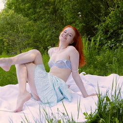 Porcelain Pleasure