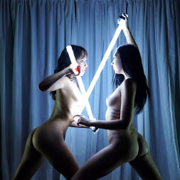 Lesbian Light Show