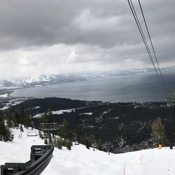 Snow Bunnies 3