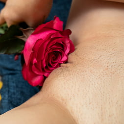 A Gift For You