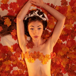 Noviembre 2023 sabor del mes tiana blow - s24:e10